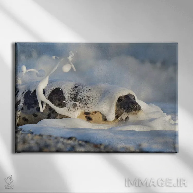 تابلو شامپو اثر المر وایس - نمای روبهرو روی دیوار