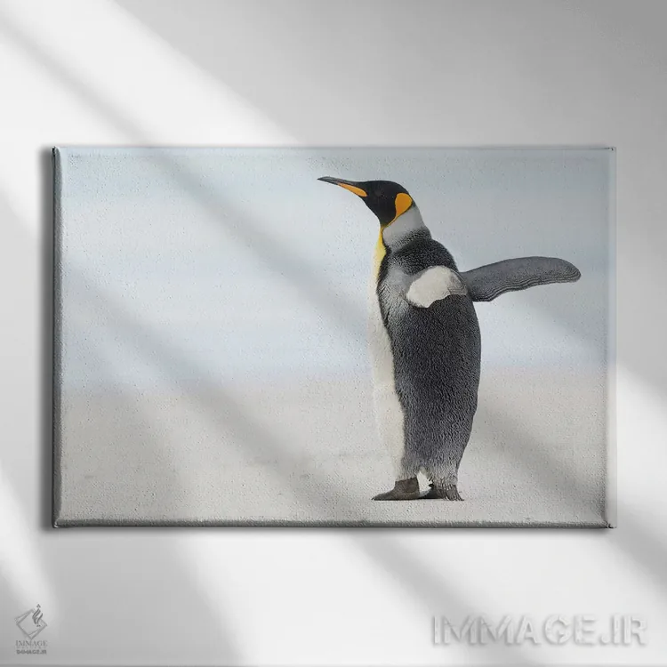 تابلو بالهایت را بگشا اثر المر وایس - نمای روبهرو روی دیوار