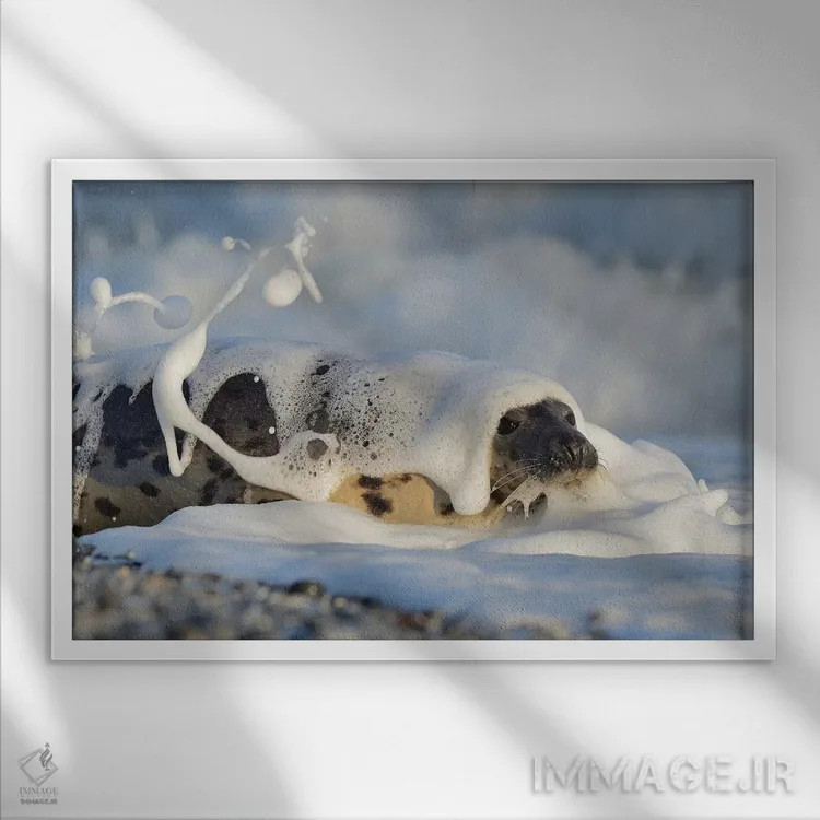 تابلو شامپو اثر المر وایس - نمای قابدار سفید