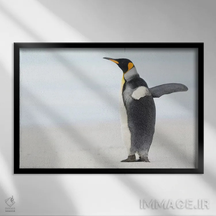 تابلو بالهایت را بگشا اثر المر وایس - نمای قابدار مشکی