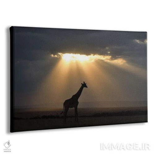تابلو غروب با زرافه اثر المر وایس - نمای پرسپکتیو محصول