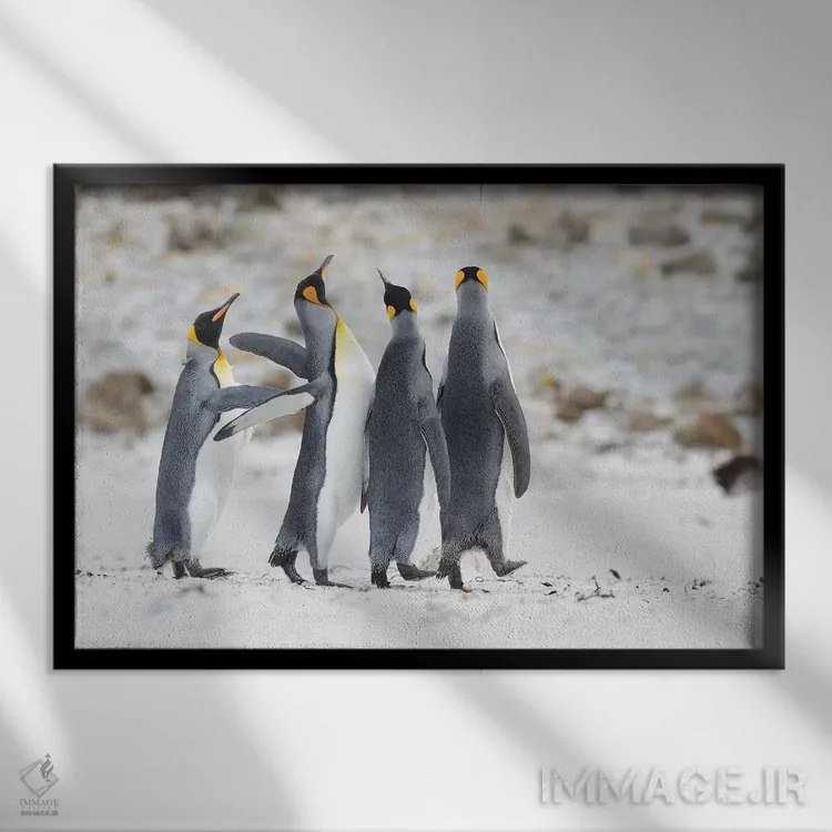 تابلو شوخطبع اثر المر وایس - نمای قابدار مشکی