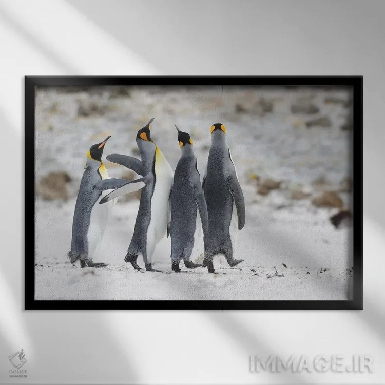 تابلو شوخطبع اثر المر وایس - نمای قابدار مشکی
