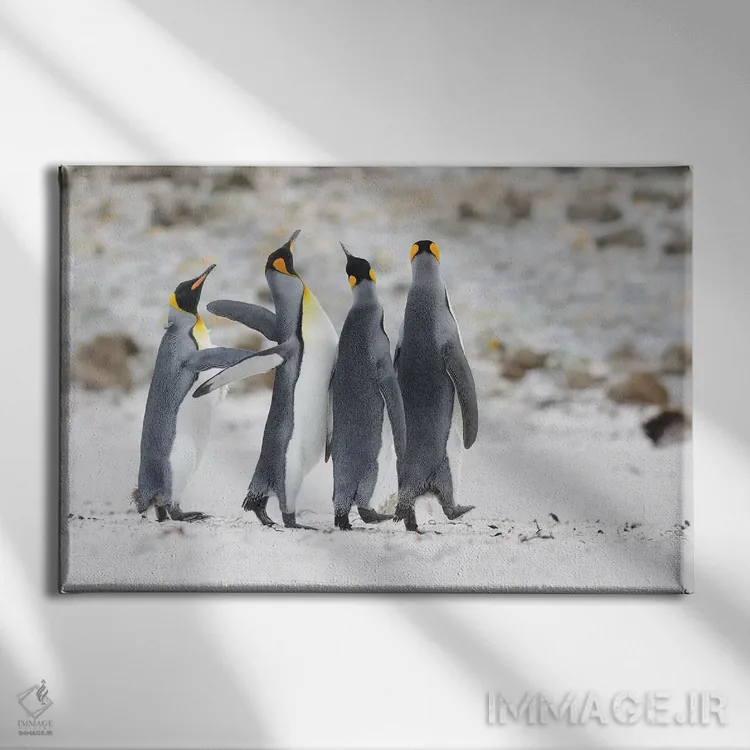 تابلو شوخطبع اثر المر وایس - نمای روبهرو روی دیوار
