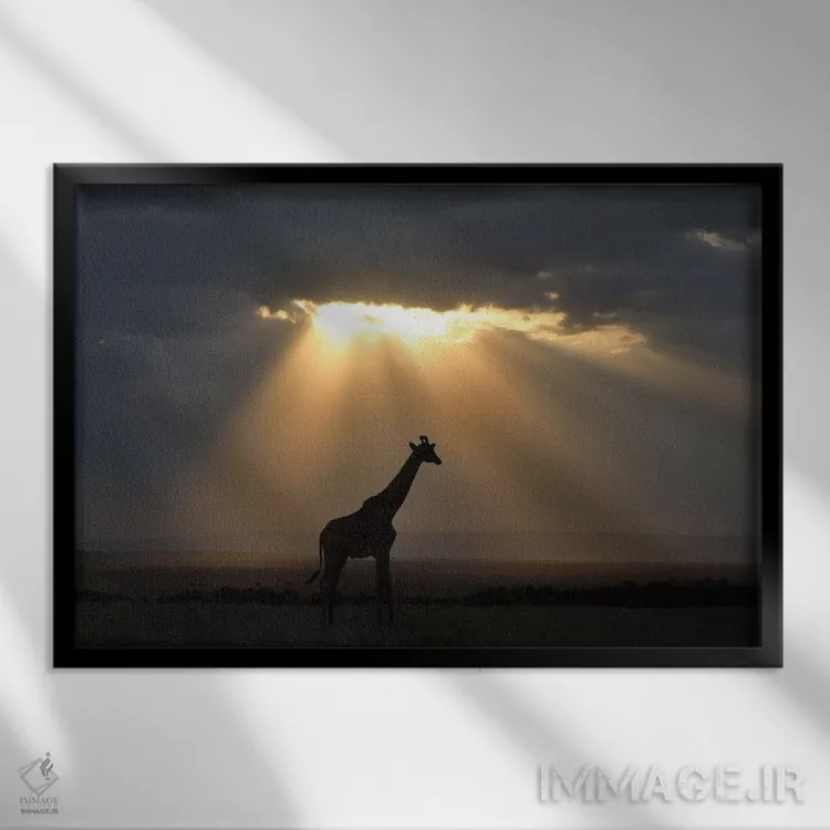 تابلو غروب با زرافه اثر المر وایس - نمای قابدار مشکی
