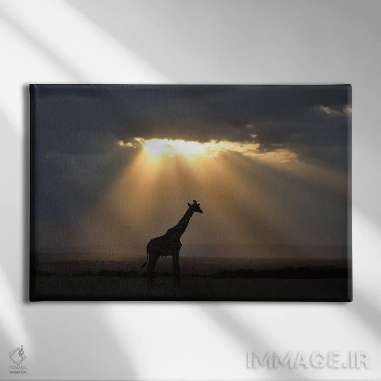 تابلو غروب با زرافه اثر المر وایس - نمای روبهرو روی دیوار