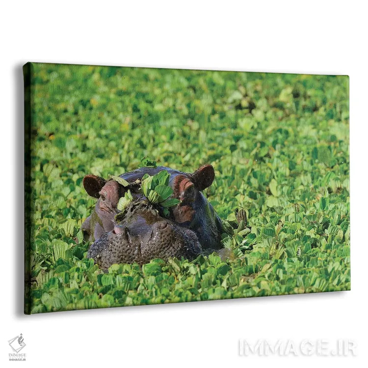 تابلو اسب آبی مخفی اثر المر وایس - نمای پرسپکتیو محصول