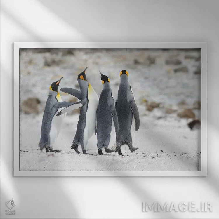 تابلو شوخطبع اثر المر وایس - نمای قابدار سفید