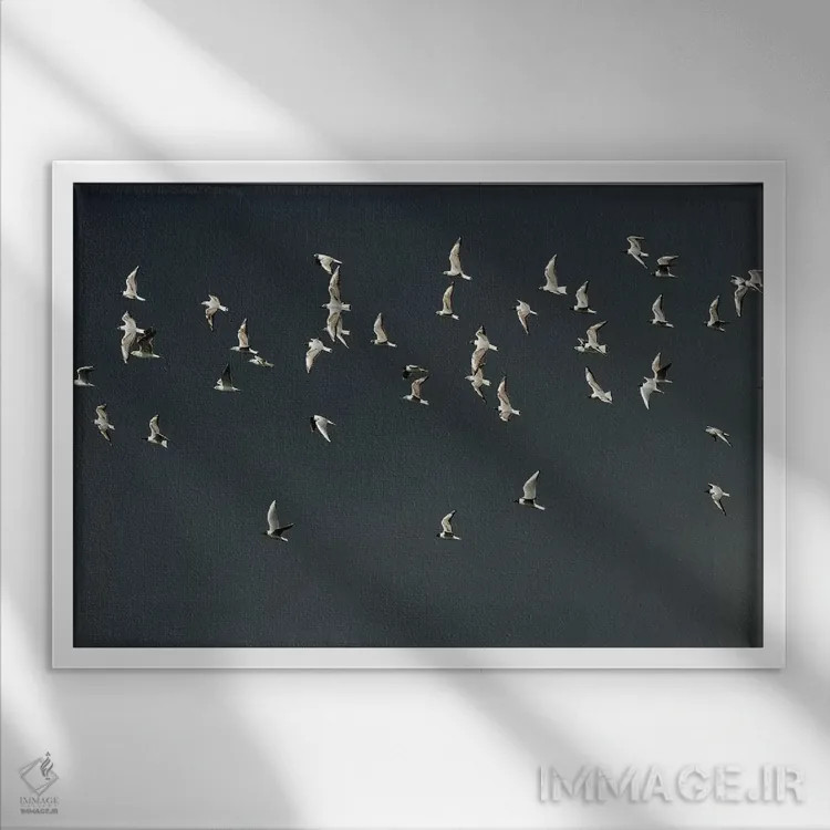 تابلو گروه (دسته) اثر المر وایس - نمای قابدار سفید