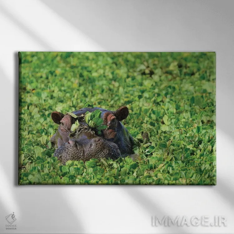 تابلو اسب آبی مخفی اثر المر وایس - نمای روبهرو روی دیوار