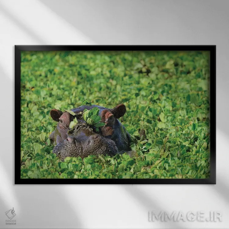 تابلو اسب آبی مخفی اثر المر وایس - نمای قابدار مشکی