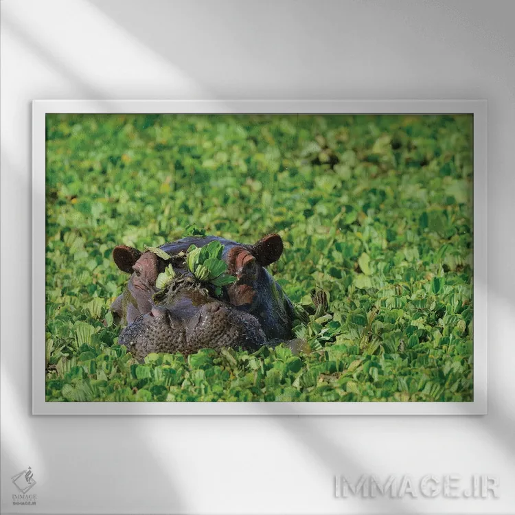 تابلو اسب آبی مخفی اثر المر وایس - نمای قابدار سفید