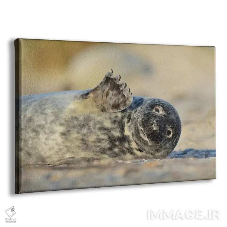 تابلو فُک خاکستری که دست تکان میدهد اثر المر وایس - نمای پرسپکتیو محصول