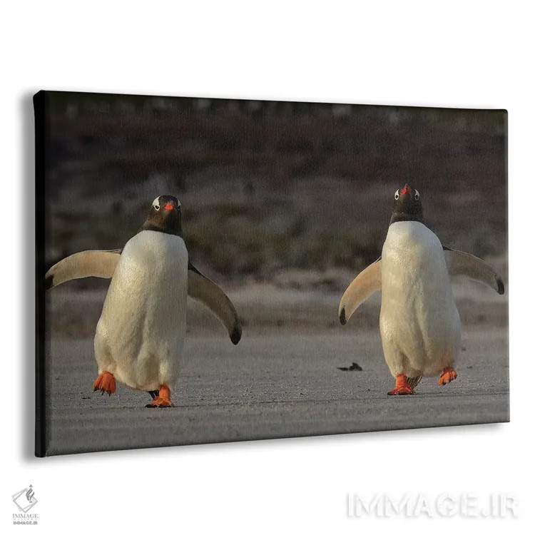 تابلو پنگوئنهای جنتوی تلوتلوخوران اثر المر وایس - نمای پرسپکتیو محصول