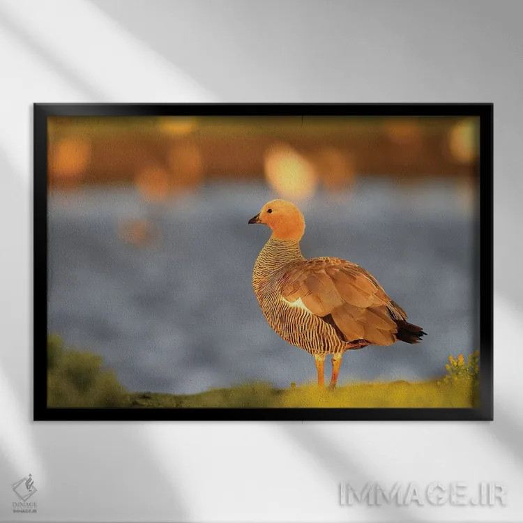 تابلو غاز بالادست اثر المر وایس - نمای قابدار مشکی