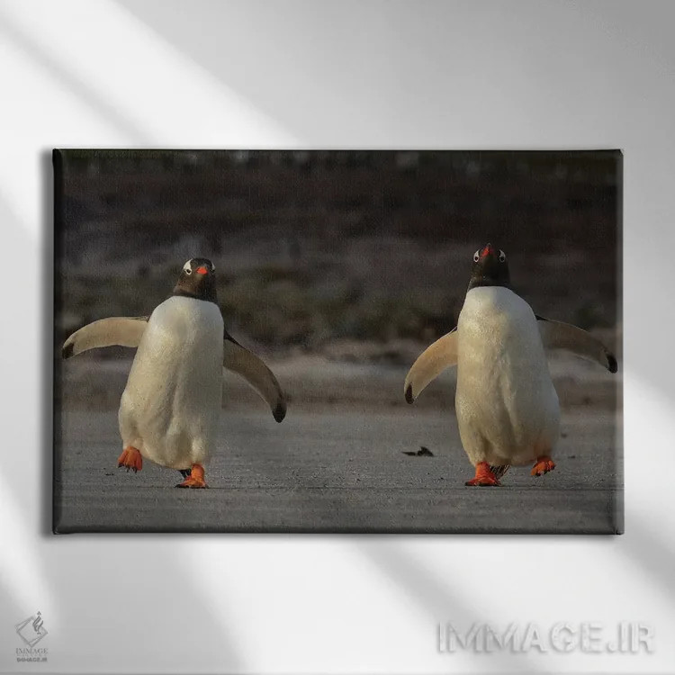 تابلو پنگوئنهای جنتوی تلوتلوخوران اثر المر وایس - نمای روبهرو روی دیوار