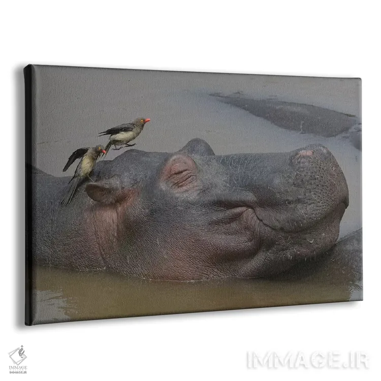 تابلو سلامتی (آسایش) اثر المر وایس - نمای پرسپکتیو محصول