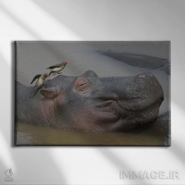 تابلو سلامتی (آسایش) اثر المر وایس - نمای روبهرو روی دیوار