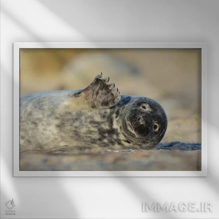 تابلو فُک خاکستری که دست تکان میدهد اثر المر وایس - نمای قابدار سفید