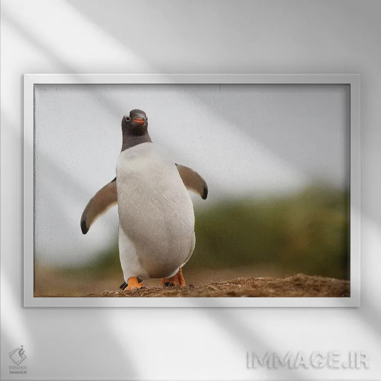 تابلو تلوتلو خوردن اثر المر وایس - نمای قابدار سفید