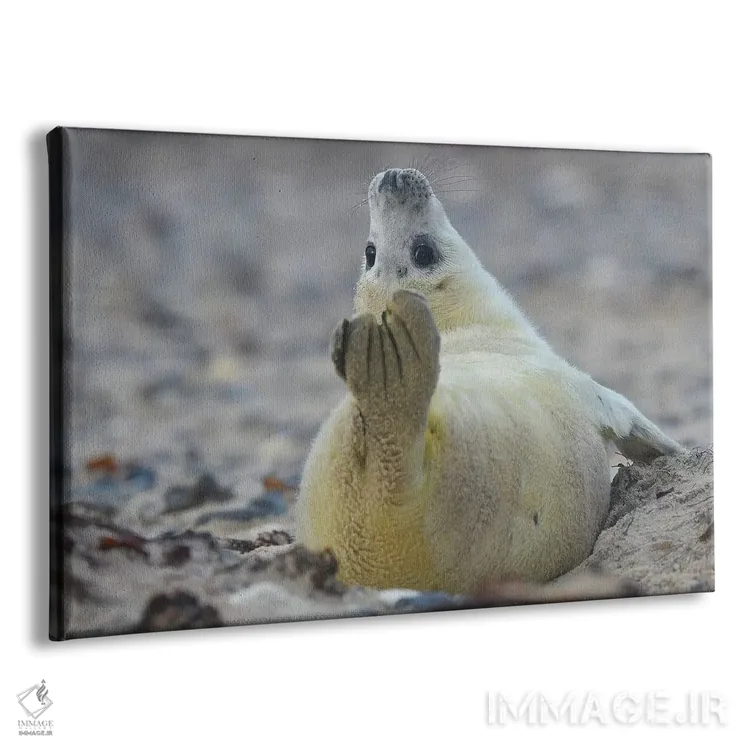 تابلو فُک یوگا کار اثر المر وایس - نمای پرسپکتیو محصول