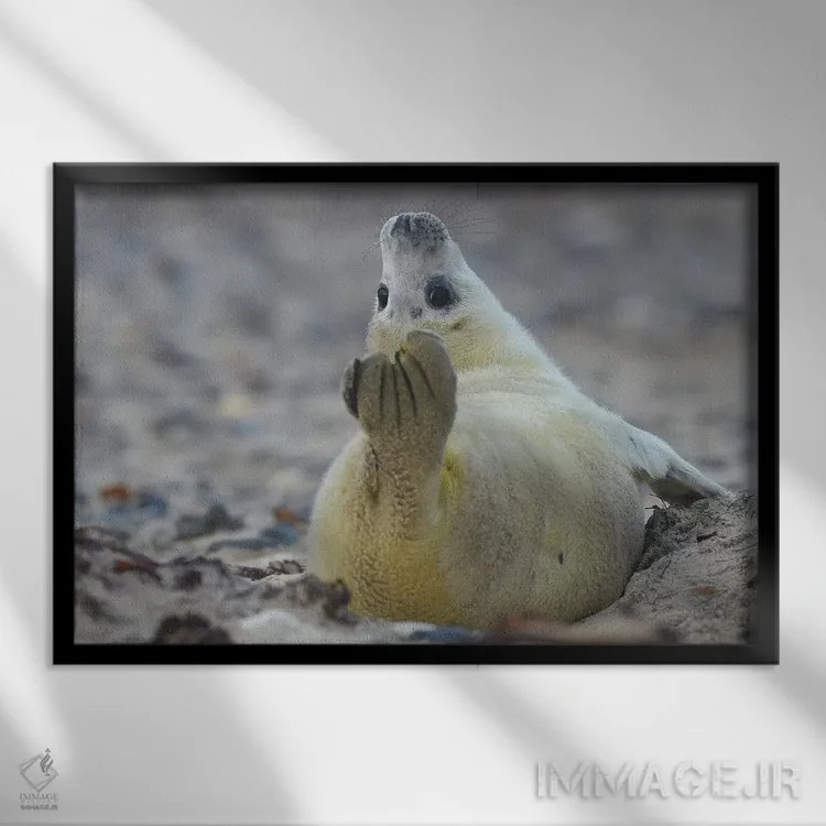 تابلو فُک یوگا کار اثر المر وایس - نمای قابدار مشکی