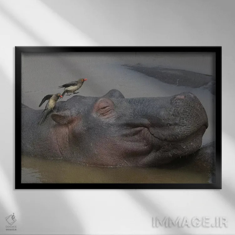 تابلو سلامتی (آسایش) اثر المر وایس - نمای قابدار مشکی