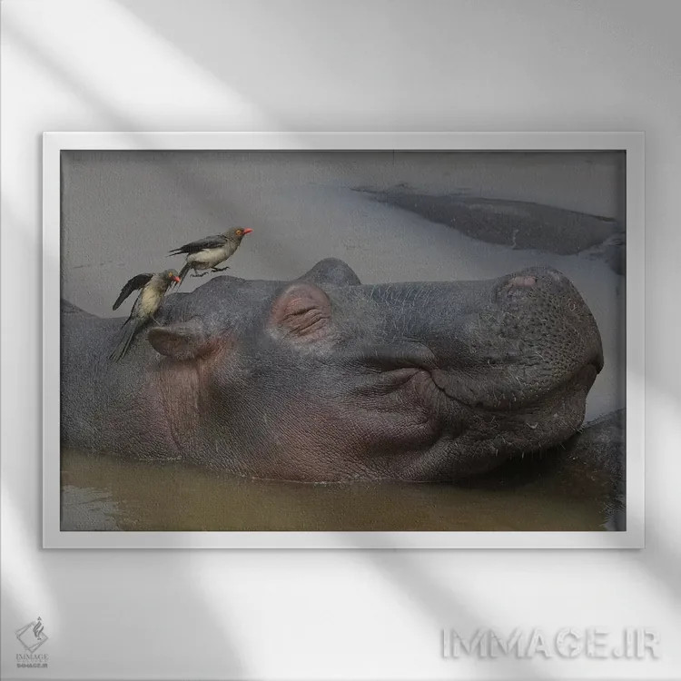 تابلو سلامتی (آسایش) اثر المر وایس - نمای قابدار سفید