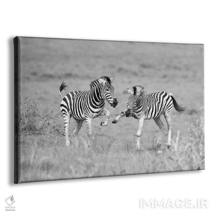 تابلو گورخرها اثر المر وایس - نمای پرسپکتیو محصول