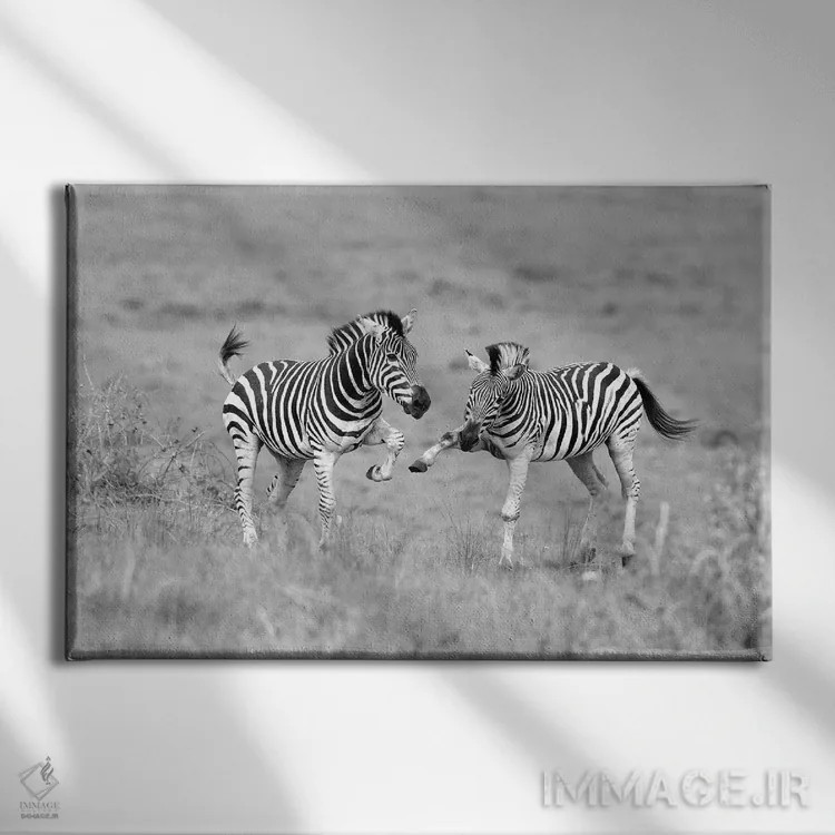 تابلو گورخرها اثر المر وایس - نمای روبهرو روی دیوار