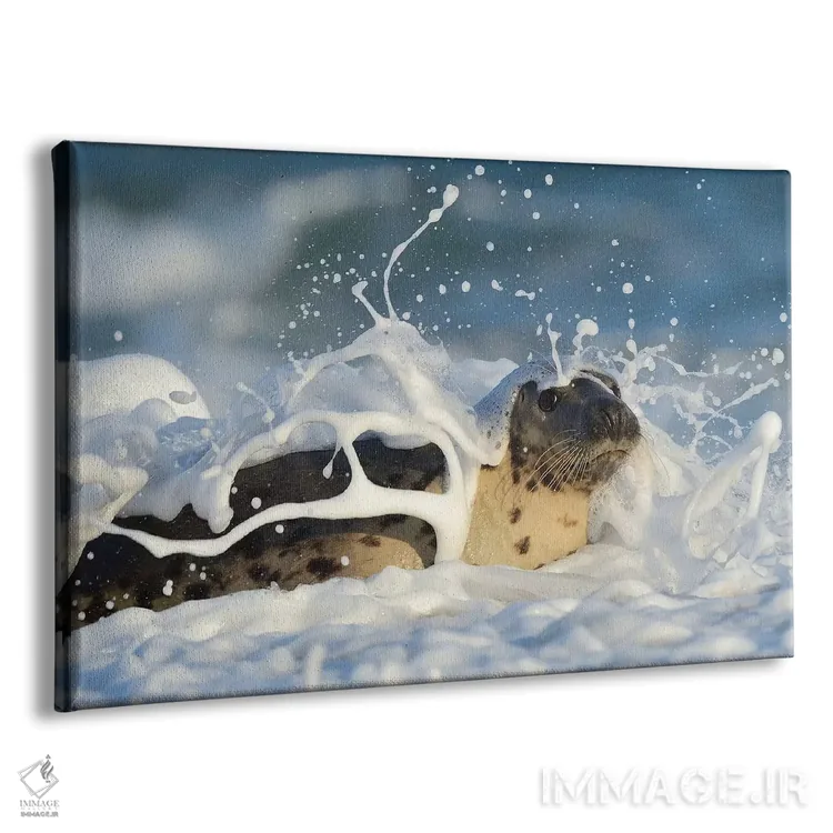 تابلو حمام کف اثر المر وایس - نمای پرسپکتیو محصول