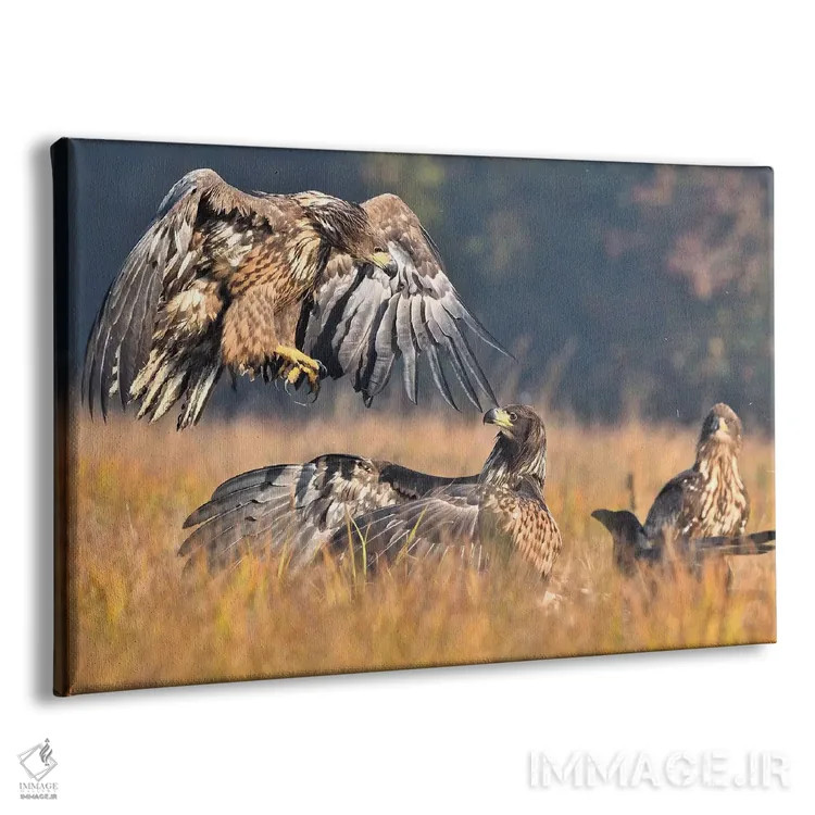 تابلو حمله اثر المر وایس - نمای پرسپکتیو محصول