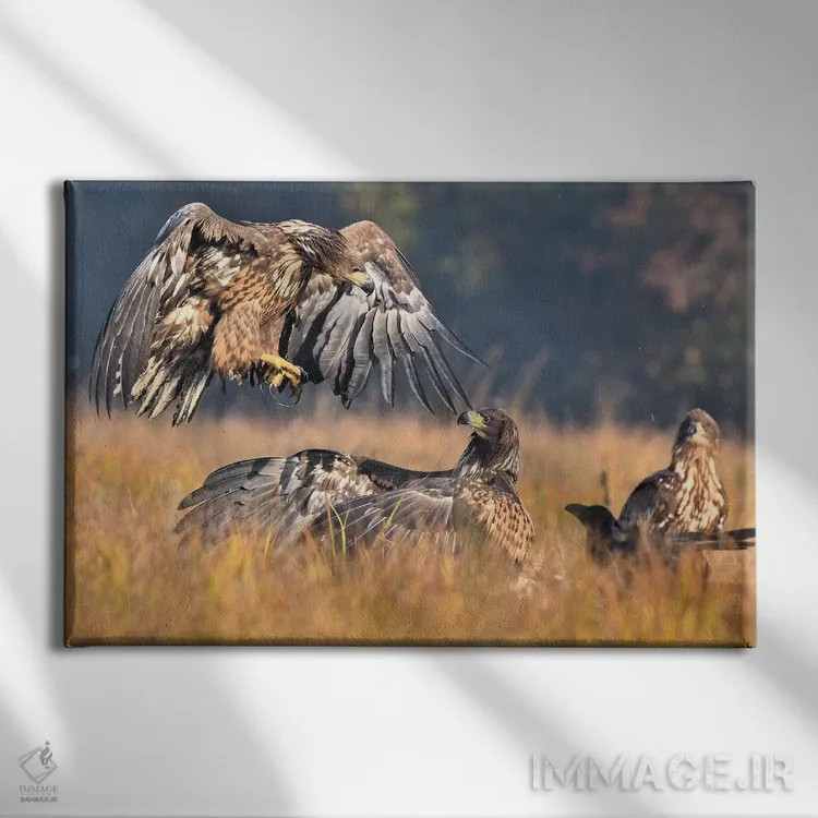 تابلو حمله اثر المر وایس - نمای روبهرو روی دیوار