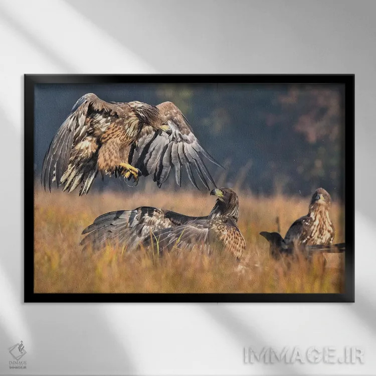 تابلو حمله اثر المر وایس - نمای قابدار مشکی