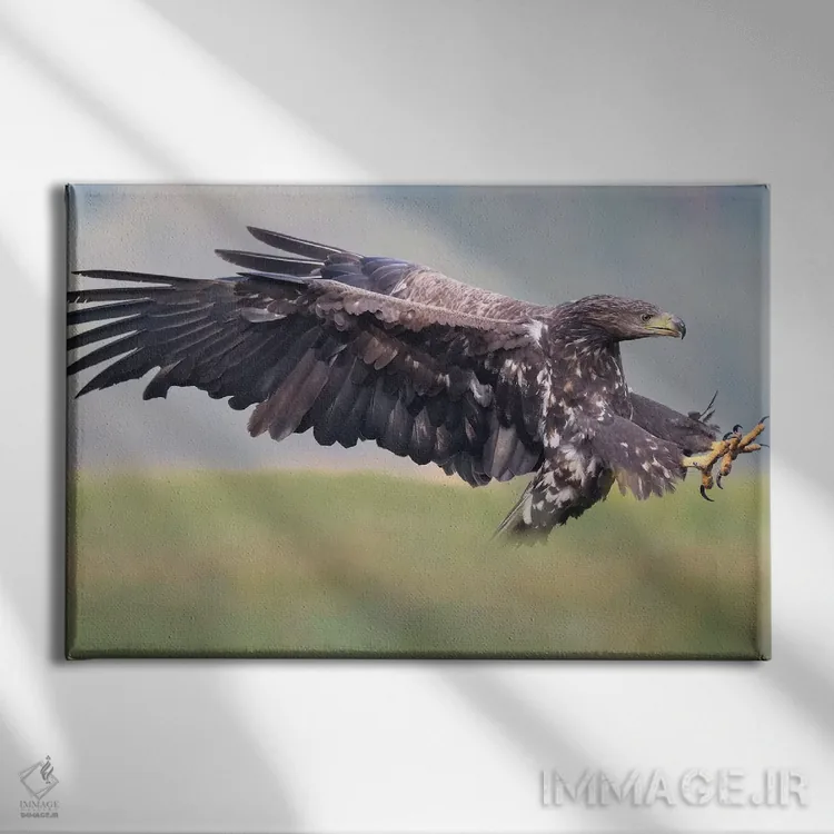 تابلو حمله عقاب دمسفید اثر المر وایس - نمای روبهرو روی دیوار