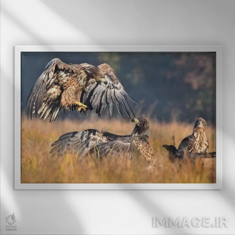 تابلو حمله اثر المر وایس - نمای قابدار سفید