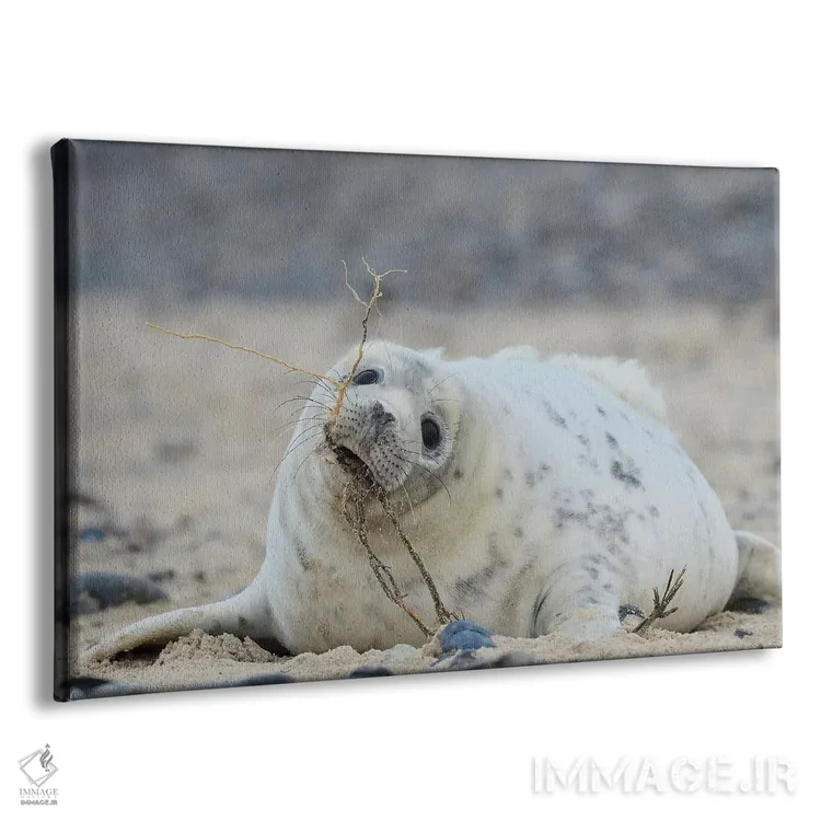 تابلو فعالیتهای ساحلی اثر المر وایس - نمای پرسپکتیو محصول