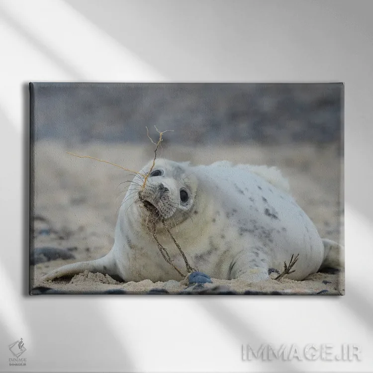 تابلو فعالیتهای ساحلی اثر المر وایس - نمای روبهرو روی دیوار