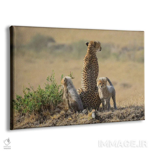 تابلو خانوادهٔ یوزپلنگ اثر المر وایس - نمای پرسپکتیو محصول