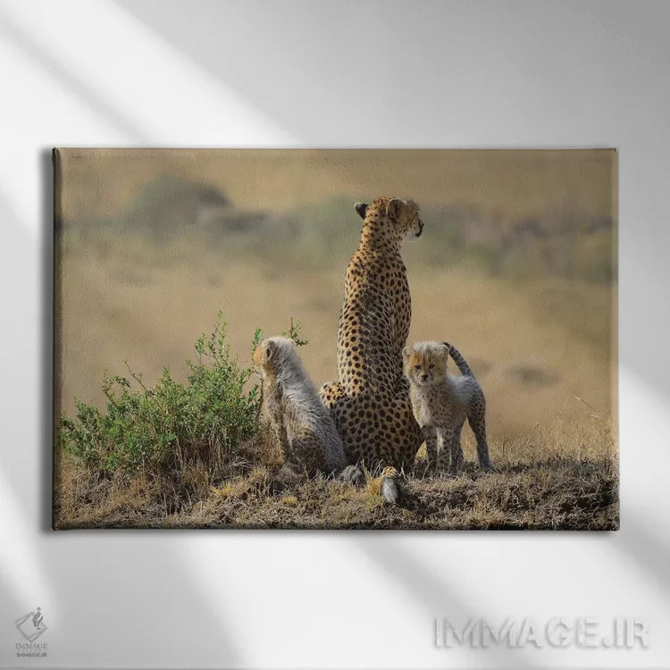 تابلو خانوادهٔ یوزپلنگ اثر المر وایس - نمای روبهرو روی دیوار