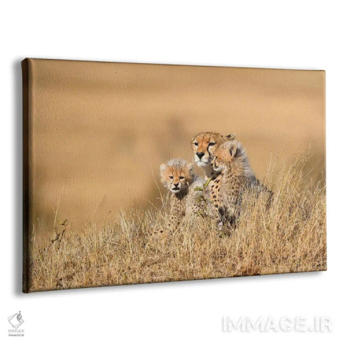 تابلو مادر یوزپلنگ با تولهها اثر المر وایس - نمای پرسپکتیو محصول