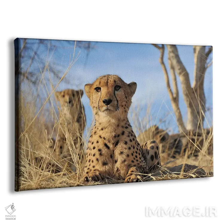 تابلو یوزپلنگ اثر المر وایس - نمای پرسپکتیو محصول