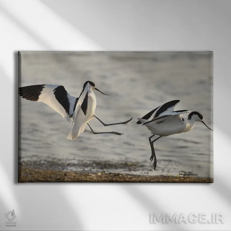 تابلو لگد زدن اثر المر وایس - نمای روبهرو روی دیوار