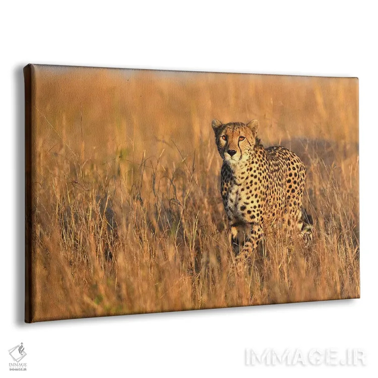 تابلو برخورد با یوزپلنگ اثر المر وایس - نمای پرسپکتیو محصول