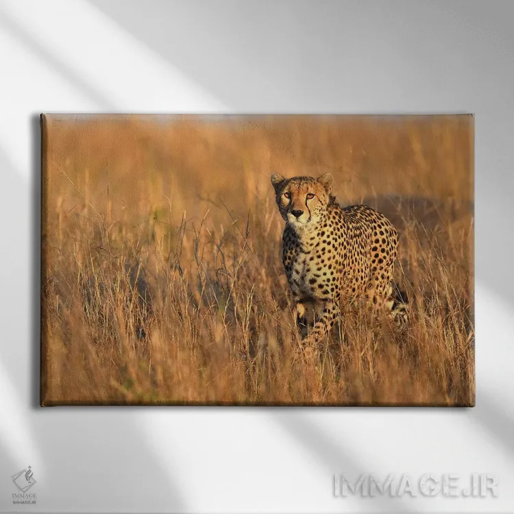 تابلو برخورد با یوزپلنگ اثر المر وایس - نمای روبهرو روی دیوار