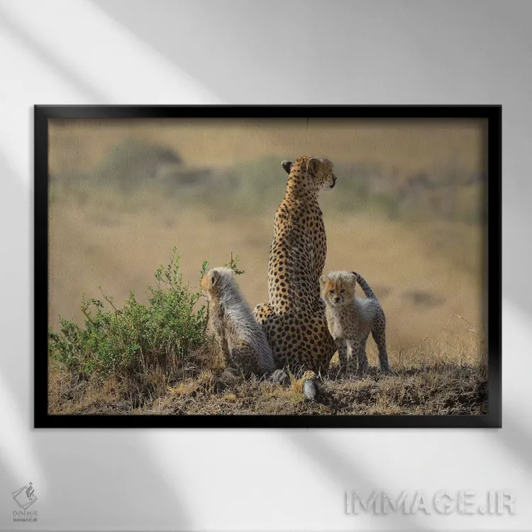 تابلو خانوادهٔ یوزپلنگ اثر المر وایس - نمای قابدار مشکی