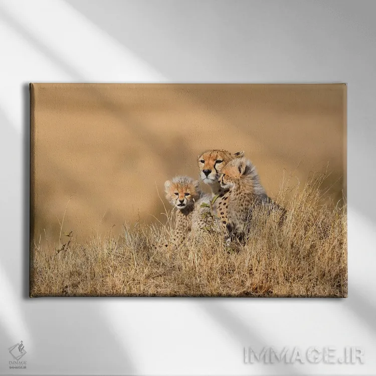 تابلو مادر یوزپلنگ با تولهها اثر المر وایس - نمای روبهرو روی دیوار
