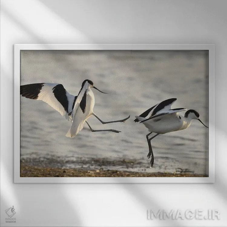 تابلو لگد زدن اثر المر وایس - نمای قابدار سفید