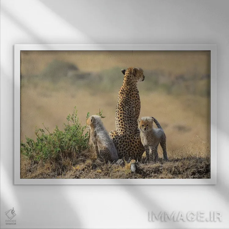 تابلو خانوادهٔ یوزپلنگ اثر المر وایس - نمای قابدار سفید