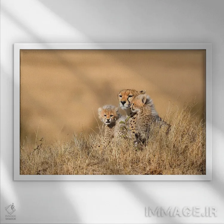 تابلو مادر یوزپلنگ با تولهها اثر المر وایس - نمای قابدار سفید